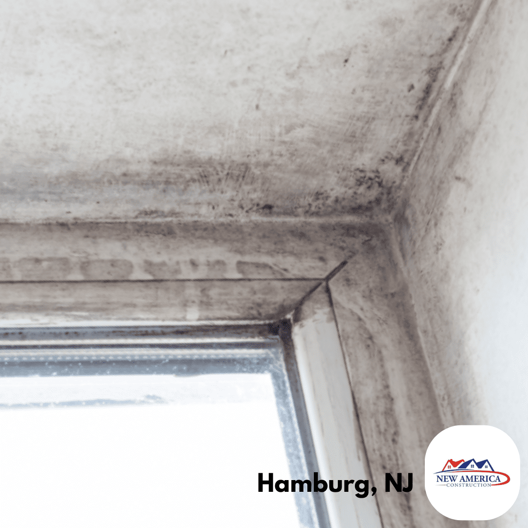 Window Replacement Companies Near Me - Hamburg NJ